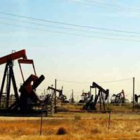 Photo of numerous oil pumps in California